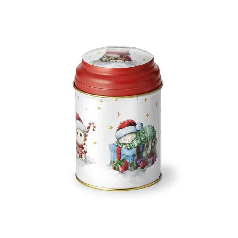 Barattolo Christmas Cats in Latta – 125 g